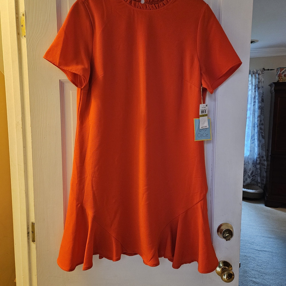 CeCe Cherry Pop Ruffled A-Line Dress Casual